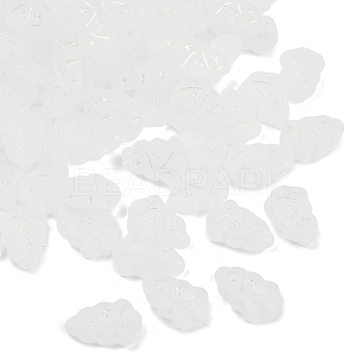 Frosted Transparent Acrylic Beads X1-OACR-P029-04B-01-1