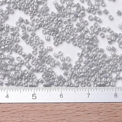 MIYUKI Delica Beads Small SEED-X0054-DBS0252-1