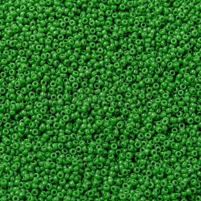 MIYUKI Round Rocailles Beads SEED-G009-RR0411-1