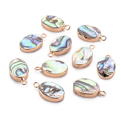 Electroplated Natural Abalone Shell/Paua Pendants SSHEL-T014-22-1