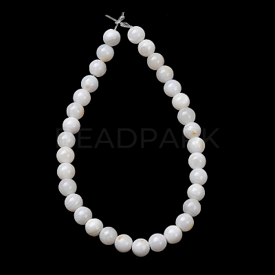 Natural Freshwater Shell Beads Strands SH-CBA2978-07D-04-1
