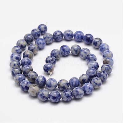 Natural Blue Spot Jasper Bead Strands G-K153-B07-8mm-1