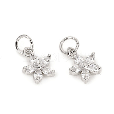 Brass Micro Pave Cubic Zirconia Charms ZIRC-L096-10P-1