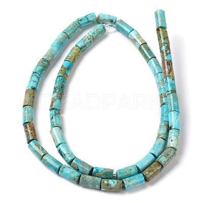 Natural Imperial Jasper Beads Strands G-Q169-A02-01A-1