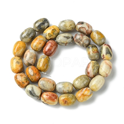 Barrel Shaped Gemstone Natural Crazy Lace Agate Beads Strands G-S114-08-1