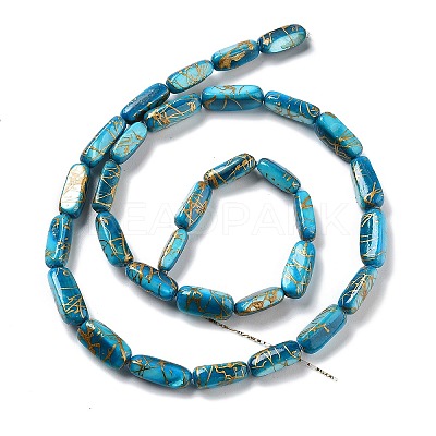 Natural Freshwater Shell Dyed Beads Strands SHEL-D082-18C-1