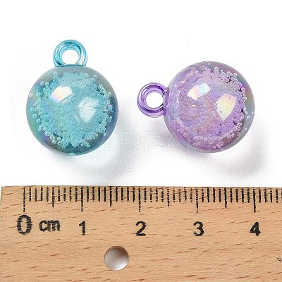 Transparent Acrylic Pendants OACR-I019-01-1