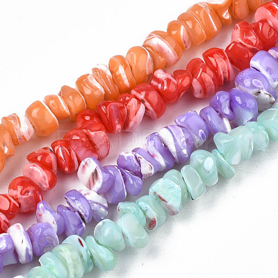 Natural Freshwater Shell Beads Strands SHEL-N003-23-1