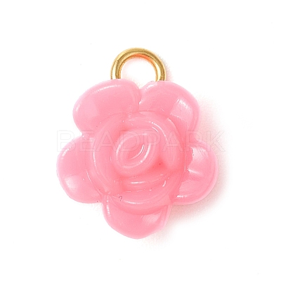 Opaque Acrylic Pendants PALLOY-JF03305-02-1