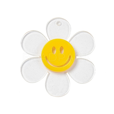Transparent Acrylic Big Pendants OACR-P012-A06-1