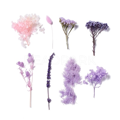 Dried Flowers DIY-D052-11-1