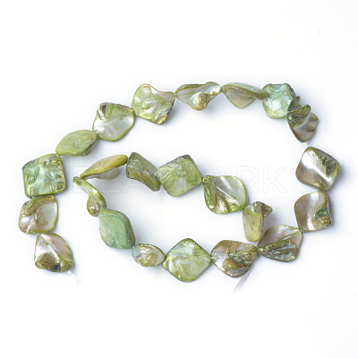 Natural Dyed Sea Shell Beads S00EA041-1