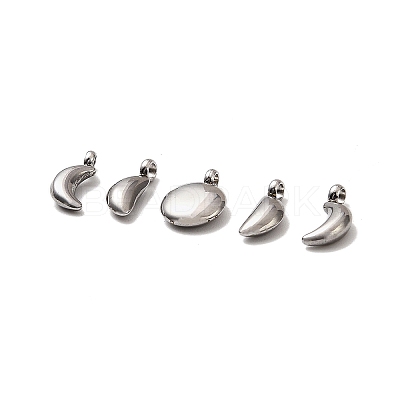 5Pcs 304 Stainless Steel Charms STAS-M017-14P-1
