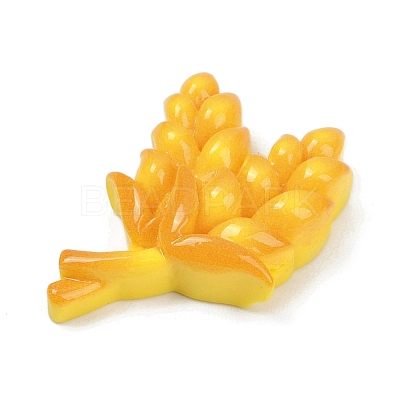 Bumper Crop Theme Opaque Resin Cabochons LS-RESI-R463-01C-1