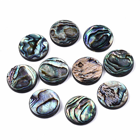 Natural Abalone Shell/Paua Shell Beads SSHEL-T014-14E-1
