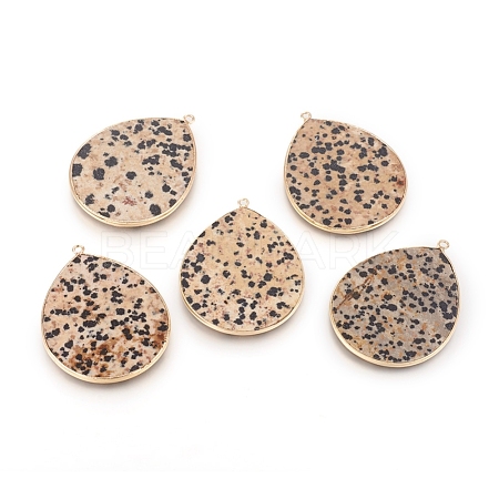 Natural Dalmatian Jasper Pendants G-E526-01J-1