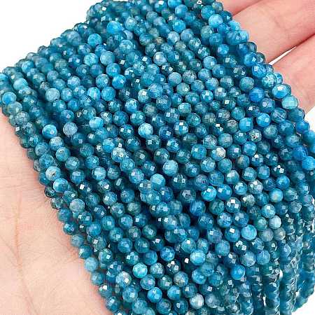 Natural Apatite Beads Strands X-G-Z057-B02-02-1