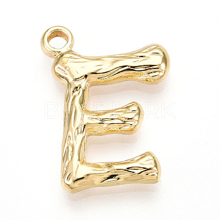 304 Stainless Steel Pendants STAS-N117-01G-E-1