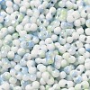 Two Tone Baking Paint Glass Seed Beads SEED-F005-01A-13-3
