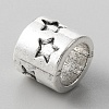 Alloy European Beads FIND-TAC0014-89G-2