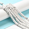 Synthetic Howlite Beads Strands G-K340-B06-01-4