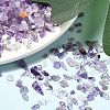 Natural Amethyst Chip Beads G-L453-06-3