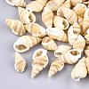Natural Spiral Shell Beads SSHEL-R036-15-3
