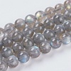 Natural Labradorite Beads Strands G-G448-8mm-04B-1