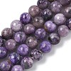 Natural Charoite Beads Strands G-C270-O02-04-2