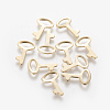 201 Stainless Steel Charms STAS-L233-035G-1