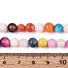 Freshwater Shell Beads Strands SHEL-T013-003-4