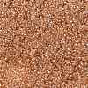 MIYUKI Round Rocailles Beads X-SEED-G009-RR1129-3