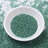 MIYUKI Delica Beads X-SEED-J020-DB0060-2
