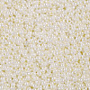 11/0 FGB Grade A Round Glass Seed Beads SEED-N001-B-0481-2