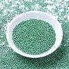 MIYUKI Delica Beads SEED-MY11-DB1182-4