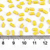 FGB 2-Hole Glass Seed Beads SEED-S031-M-SH42-2