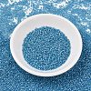 MIYUKI Delica Beads SEED-JP0008-DB1709-2