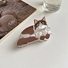 Acrylic Claw Hair Clips PW-WG49337-02-1