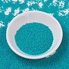 MIYUKI Delica Beads SEED-JP0008-DB0793-2