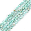 Natural Freshwater Shell Dyed Beads Strands SHEL-M018-13-2