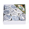Natural Angelite Display Decorations G-N347-11B-1