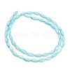 Natural Freshwater Shell Beads Strands SHEL-C010-01C-3