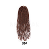 DreadLock Hair Twist Braids Crochet Hair OHAR-G005-21B-2