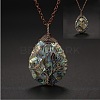 Double Sided Natural Paua Shell Copper Wire Wrapped Tree of Life Teardrop Pendant Necklaces FS-WG9357B-01-1