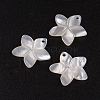 Natural White Shell Mother of Pearl Shell Pendants SSHEL-G014-60-1
