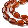 Natural Carnelian(Dyed & Heated) Beads Strands G-K365-B01-01-4