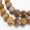 Natural Crazy Lace Agate Round Bead Strands X-G-M272-03-8mm-3