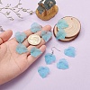 Autumn Theme Transparent Frosted Acrylic Pendants X-PAF002Y-27-7