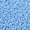 MIYUKI Round Rocailles Beads SEED-G007-RR0413F-2