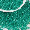 MIYUKI Round Rocailles Beads SEED-JP0009-RR0572-1